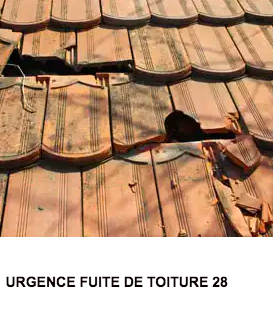 Capture d e cran 2023 11 29 a 14 45 22